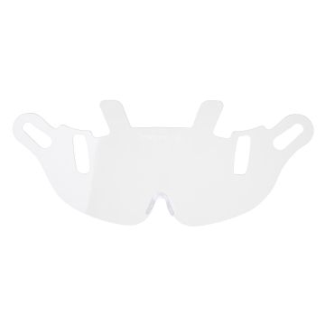 Endurance Visor Replacement PW56