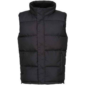 Regatta Northdale Insulated Bodywarmer RG449