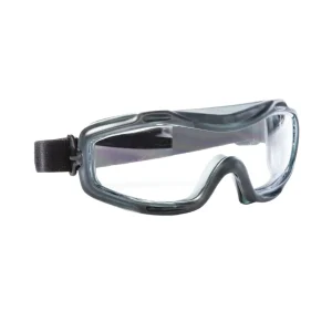 Riley Clear safety goggle JEY0059