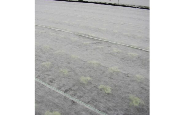 Crop Cover Frost Mat White 2x250m