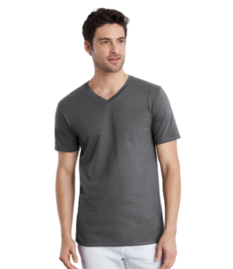 GD09 Gildan Premium Cotton V Neck T-Shirt