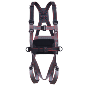 Pioneer 3-Point Harness