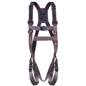 Pioneer 2-Point Harness