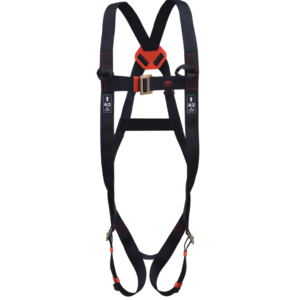 Spartan 2-Point Harness