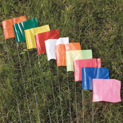 Marking Out Flags (100)